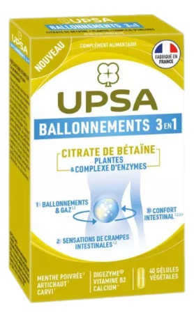 BALLONNEMENTS 3 EN 1   40 gélules
